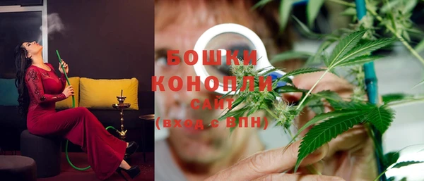 молекула духа Магас