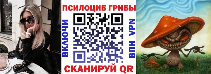 kraken tor  Николаевск  Псилоцибиновые грибы Cubensis 